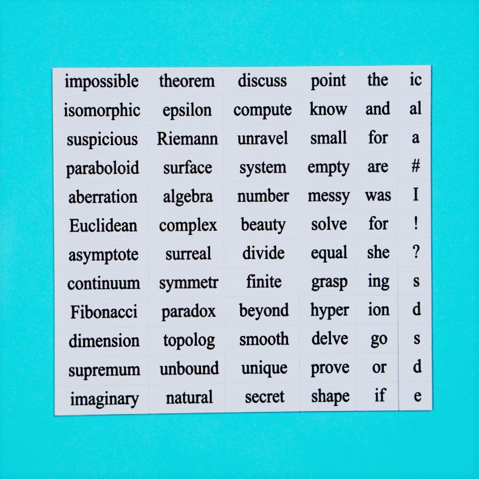 Mathematics word magnet set 2 made by Genius Lab Gear, gift for scientists