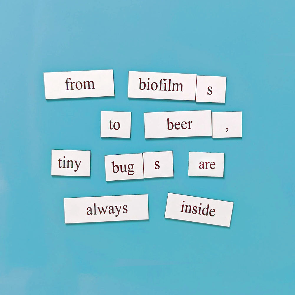 Microbiology word magnet tile set for magnetic surfaces in lab or classroom, gift for scientists