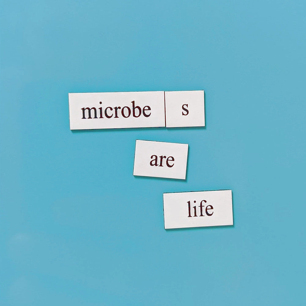 Microbiology word magnets tile set featuring bacteria and cell biology vocabulary, gift for scientists