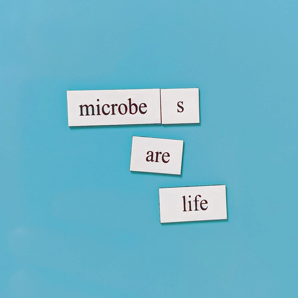 Microbiology Word Magnets