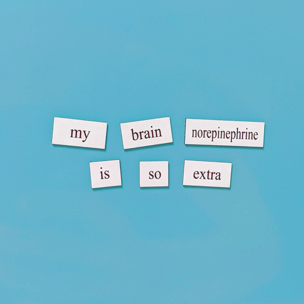 Neuroscience magnetic poetry tiles for whiteboard or fridge in lab or home, gift for scientists