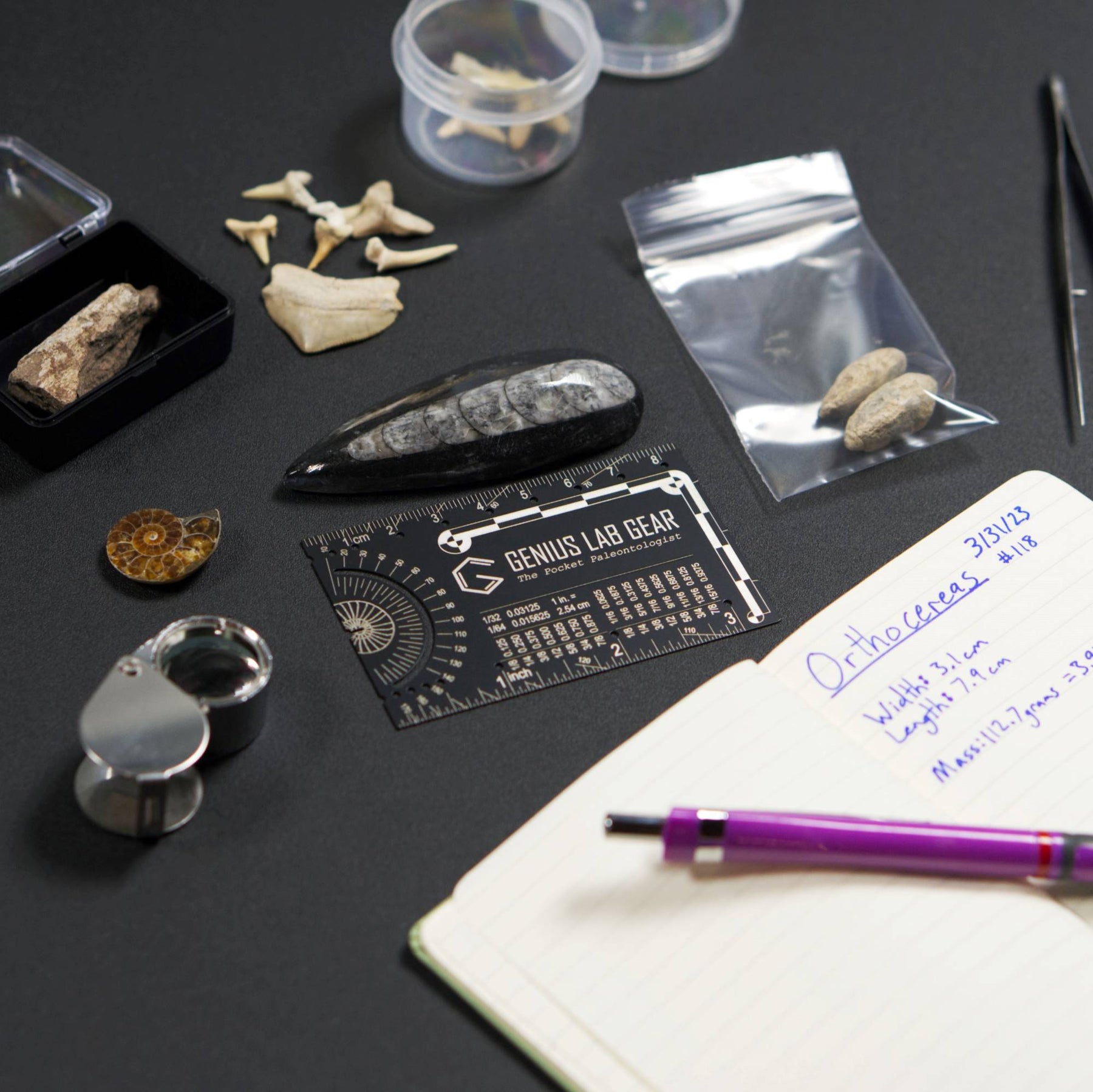 The Pocket Paleontologist - Fossil Hunting Pocket Tool - Genius Lab Gear