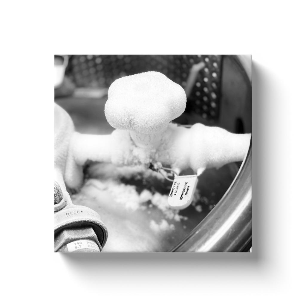 Laboratory canvas wrap 4