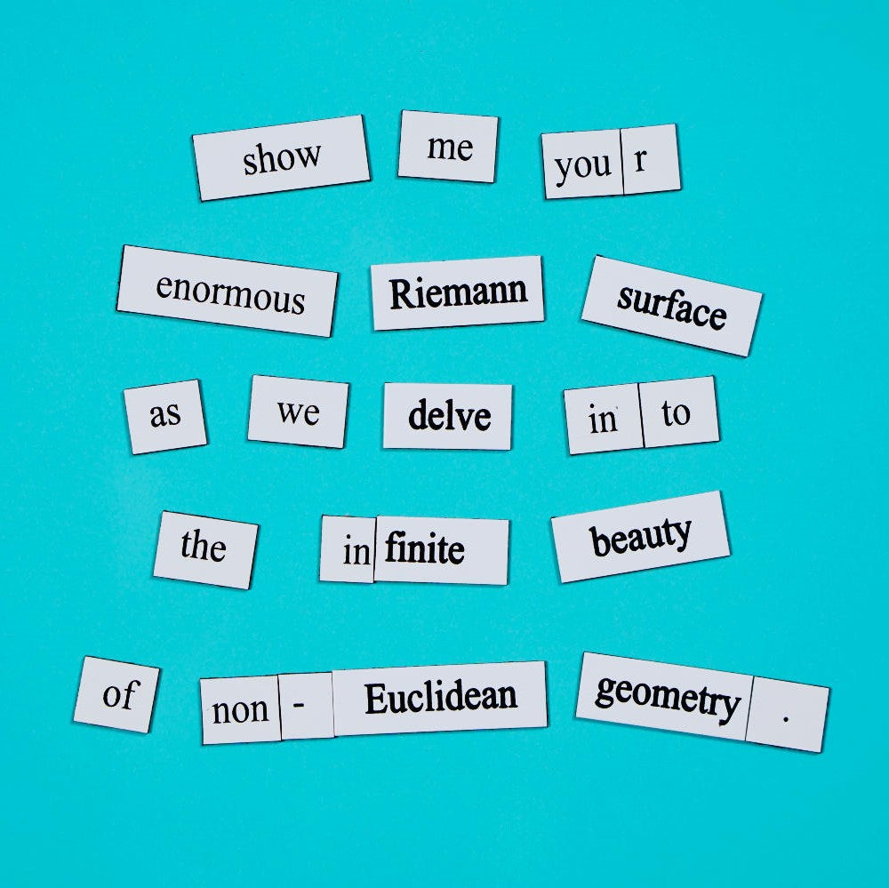 Riemann surface math word magnets, gift for scientists