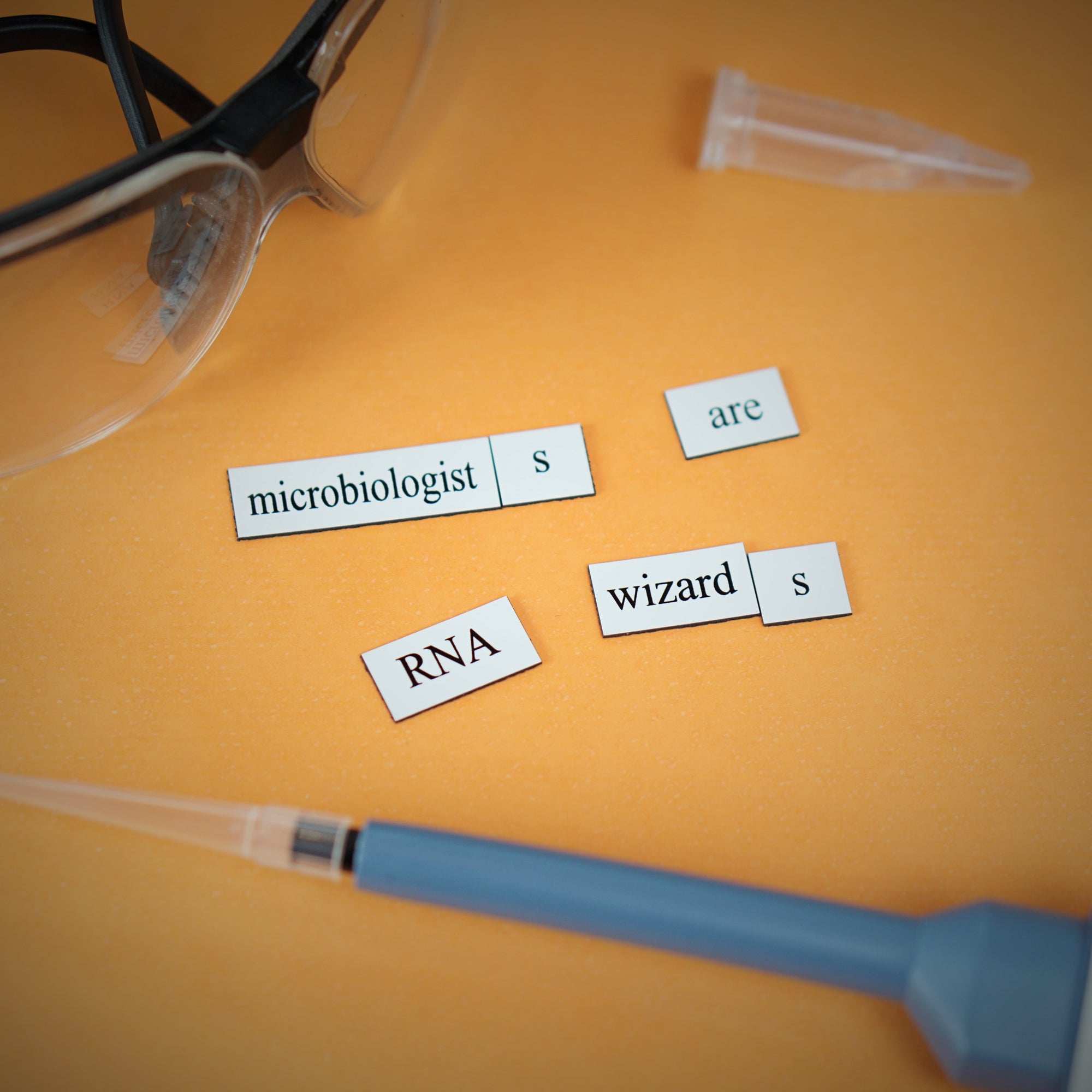 microbiologist RNA word magnets