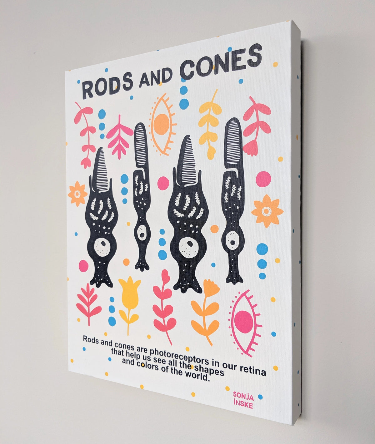 Retina rods and codes optometrist art